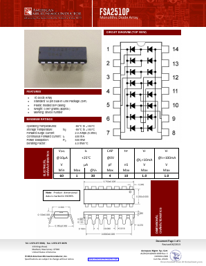 FSA2510P Datasheet PDF American Microsemiconductor