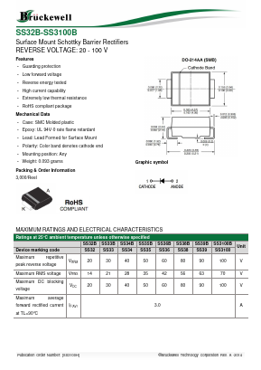 SS3100B Datasheet PDF Bruckewell Technology LTD
