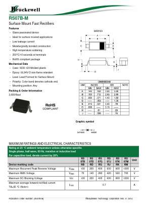 RS07B Datasheet PDF Bruckewell Technology LTD