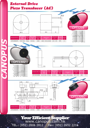CPT1208 Datasheet PDF Canopus Electronics (H.K.) Ltd.