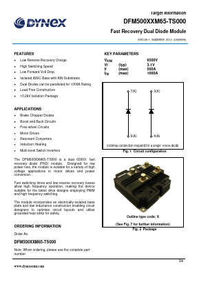 DFM500XXM65-TS000 Datasheet PDF Dynex Semiconductor
