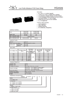 HG4509 Datasheet PDF ETC