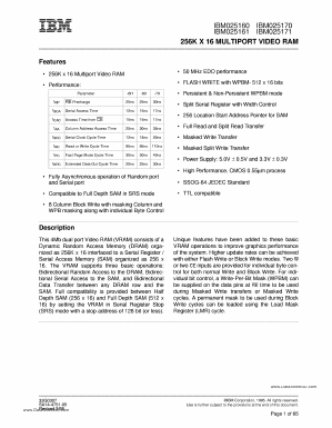 IBM025161 Datasheet PDF ETC