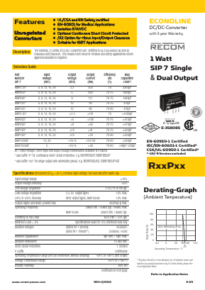 R05P05S/X2 Datasheet PDF ETC