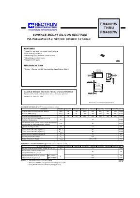 FM4007-W Datasheet PDF ETC