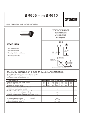 BR605 Datasheet PDF Formosa Technology