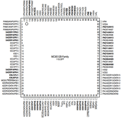 MC9S12B64 Datasheet PDF Freescale Semiconductor