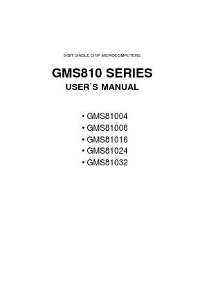 GMS81004 Datasheet PDF Hynix Semiconductor