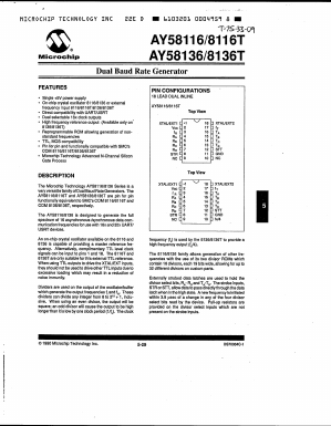 AY58136/P005 Datasheet PDF Microchip Technology