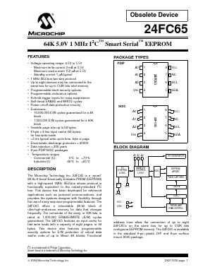 24FC65 Datasheet PDF Microchip Technology