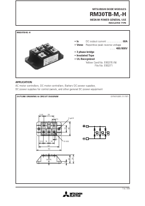 RM30TB-H Datasheet PDF MITSUBISHI ELECTRIC 
