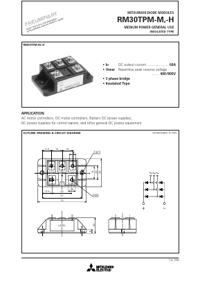 RM30TPM-H Datasheet PDF MITSUBISHI ELECTRIC 