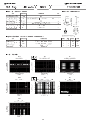 TCQ20B04 Datasheet PDF Nihon Inter Electronics