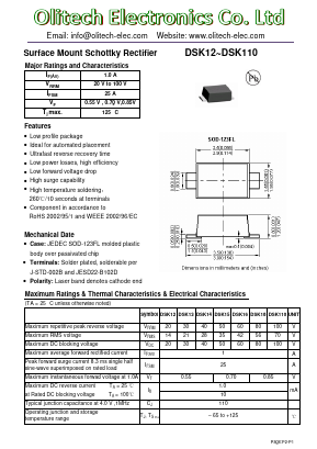 DSK110 Datasheet PDF Olitech Electronics Co.Ltd