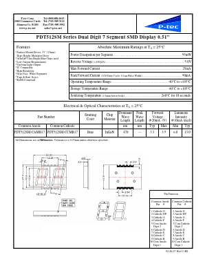 PDT512SM-CCMB17 Datasheet PDF P-tec Corporation