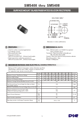 SM5400 Datasheet PDF PACELEADER INDUSTRIAL