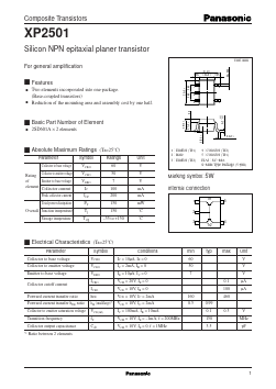 XP2501 Datasheet PDF Panasonic Corporation