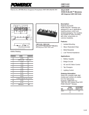 CM531620 Datasheet PDF Powerex