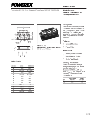 RM300CA-9W Datasheet PDF Powerex