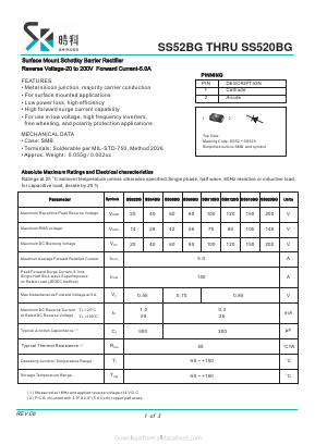 SS510BG Datasheet PDF SHIKE Electronics