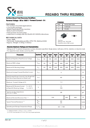 RS2ABG Datasheet PDF SHIKE Electronics