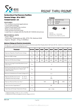 RS2AF Datasheet PDF SHIKE Electronics