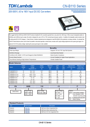 CN200B110-13.8 Datasheet PDF TDK Corporation