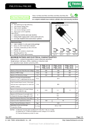FML32S Datasheet PDF Thinki Semiconductor Co., Ltd.