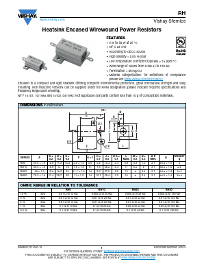 RH10 Datasheet PDF Vishay Semiconductors